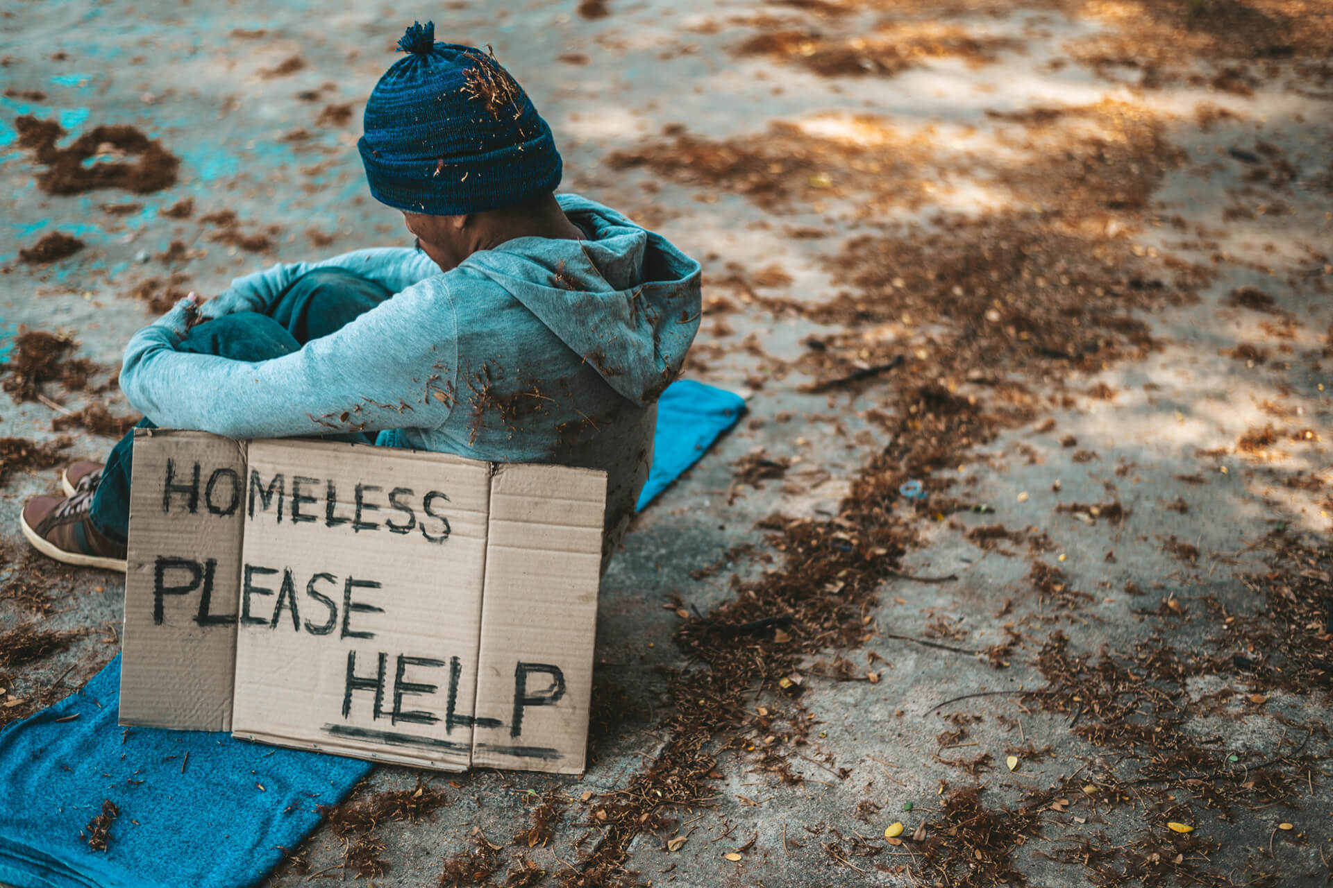 Katie Stewart Your Charity May Be Net Zero